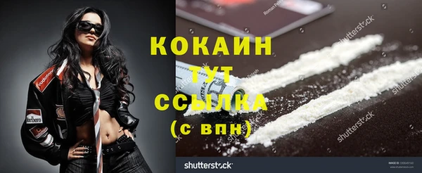ГАЛЛЮЦИНОГЕННЫЕ ГРИБЫ Арсеньев