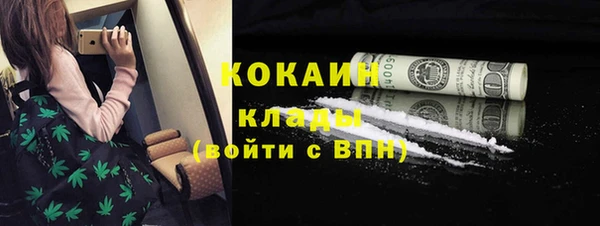 ГАЛЛЮЦИНОГЕННЫЕ ГРИБЫ Арсеньев