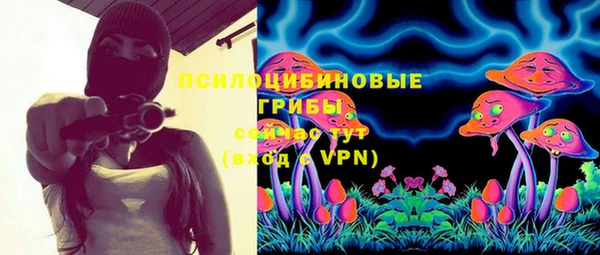 MESCALINE Аркадак