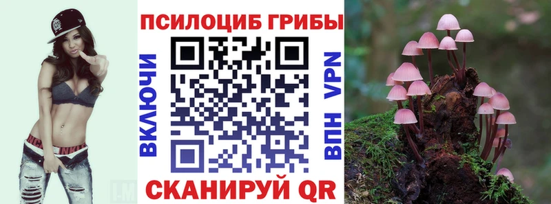 Галлюциногенные грибы MAGIC MUSHROOMS где купить наркоту Гаврилов Посад